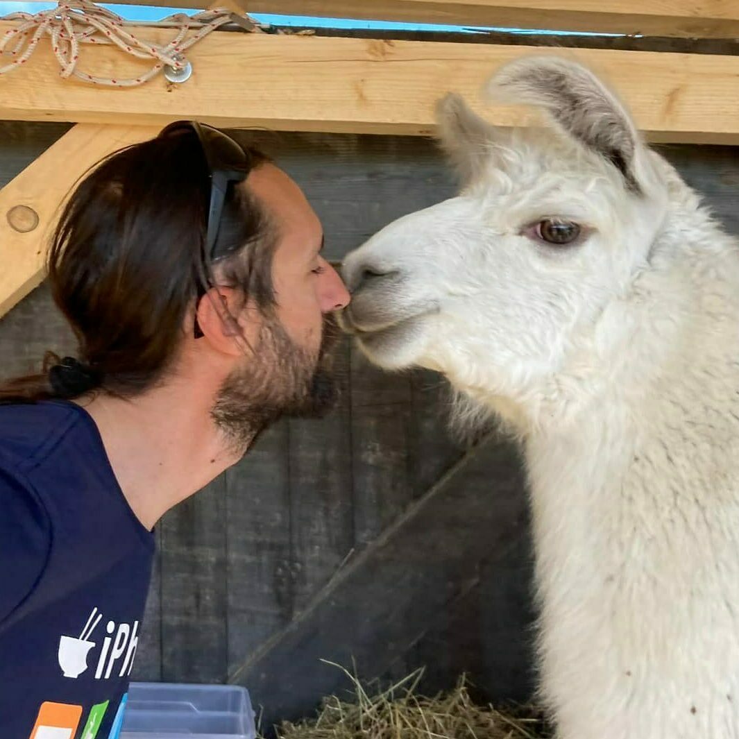 lama et humain faisant un nez nez