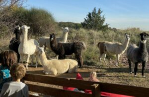 groupe d'enfants